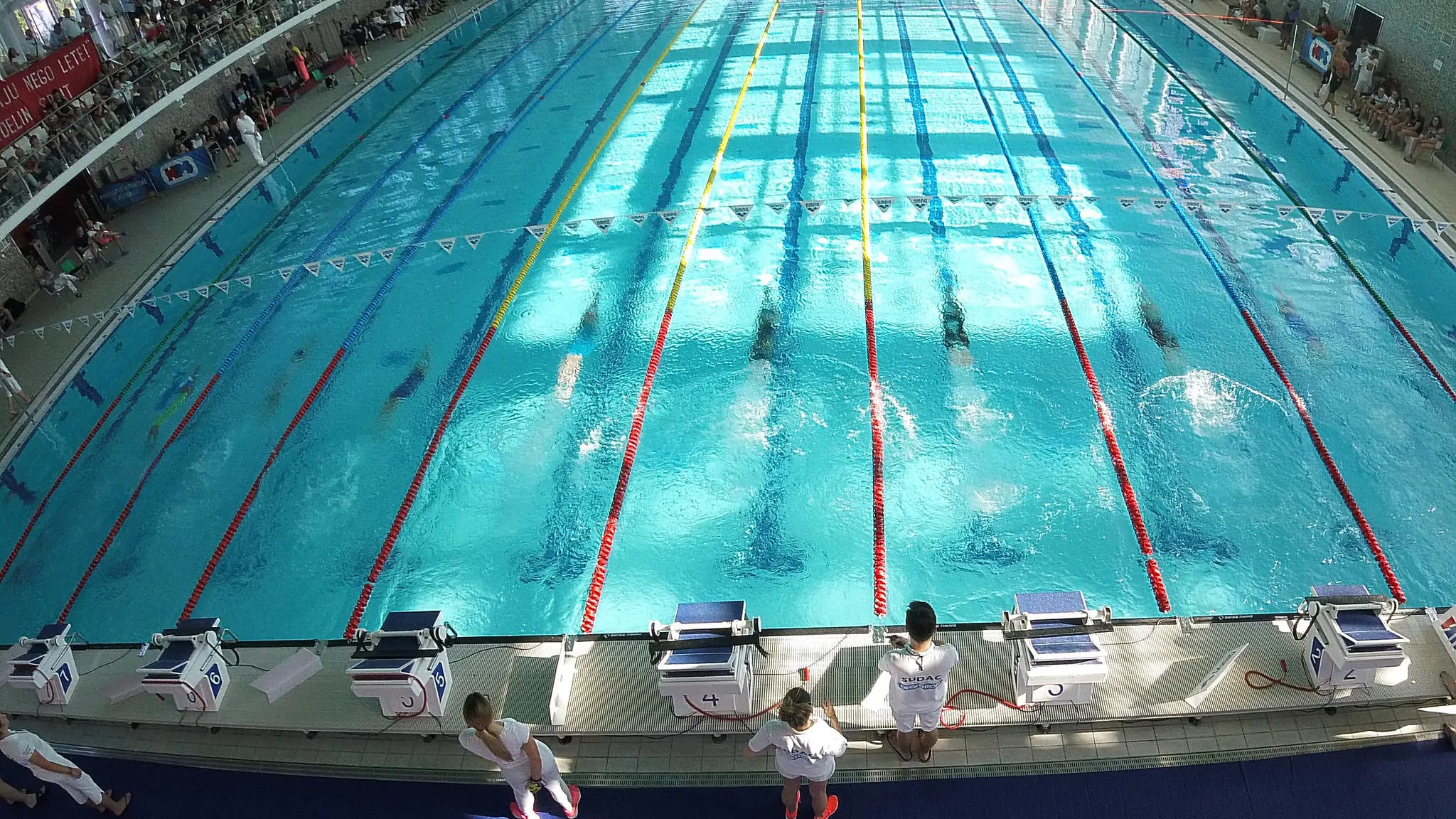 Hrvatska pliva